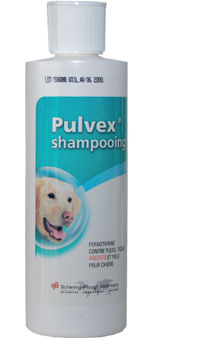 Pulvex Shampooing