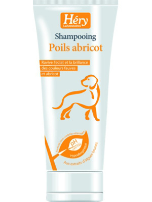 Shampooing Poils Abricots "Héry" 200ml